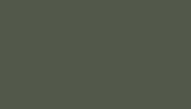 armeegrün/ military green 26, PMS 418 C